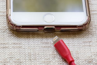 苹果手机进水黑屏了：拯救iPhone的终极攻略